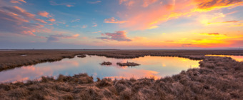 14mm sunset photograph working over a salt marsh in a hue of blues, pinks, oranges and yellows.