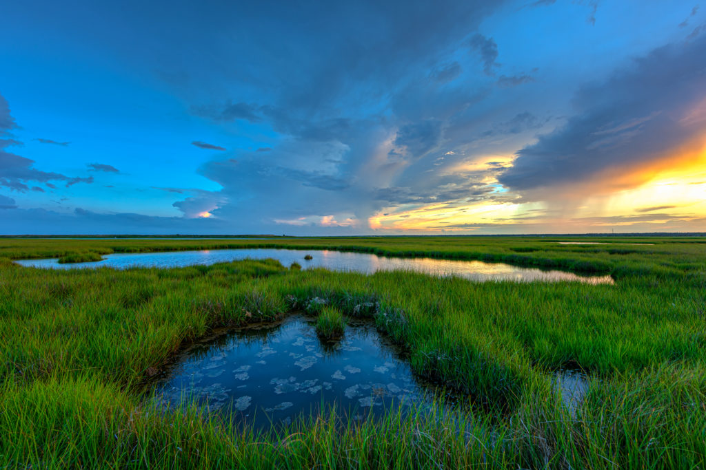 14mm HDR photograph of emerald green sedge grass beaming beneath stormy late June skies. A classic mid-Atlantic salt marsh scene captured at golden hour.