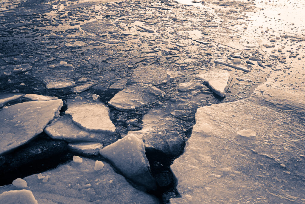 Two inch thick ice sheets fold, collide, and crack creating fractal patterns floating atop Great Bay. Photographed at 35mm and processed in monochrome sepia.