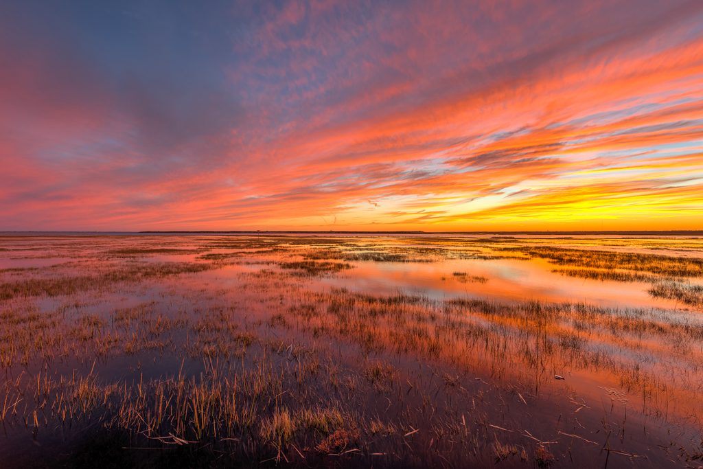 Flooded New Jersey salt marsh at sunset, with fiery orange, pink, and violet clouds sweeping across the sky and reflecting in shallow water among the marsh grasses.