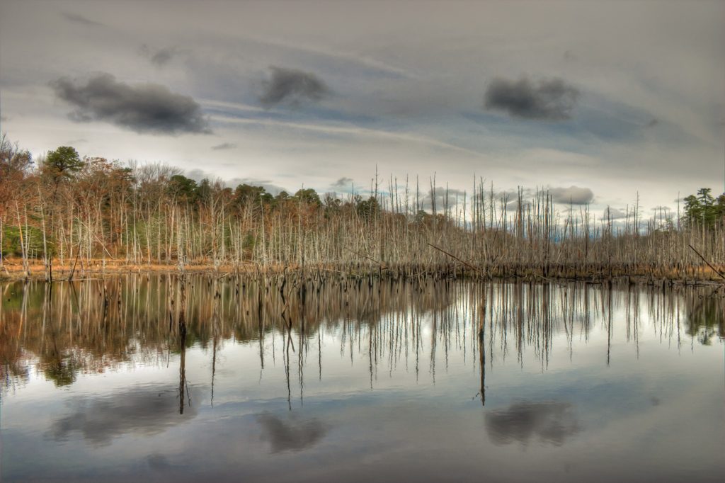 A quiet creek reflects bare trees and pale clouds.