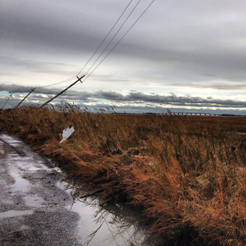 A leaning utility pole and wires stand beside a bridge and marshy water under a gray sky.