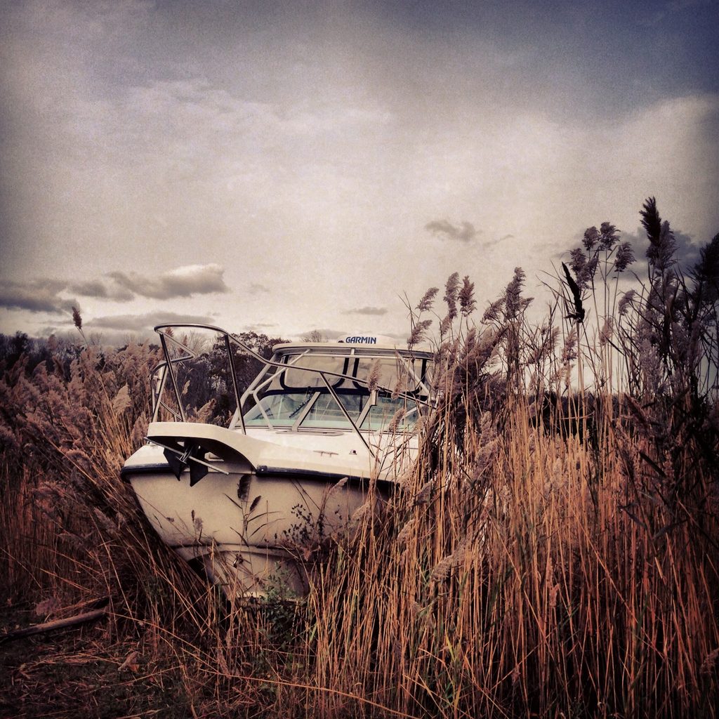 A white motorboat rests among tall marsh reeds beneath a cloudy sky.
