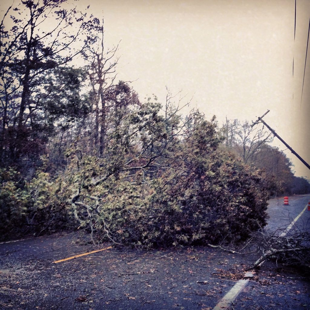 A fallen tree blocks a wet roadway beside a leaning utility pole; orange traffic barrels stand beyond the obstruction.