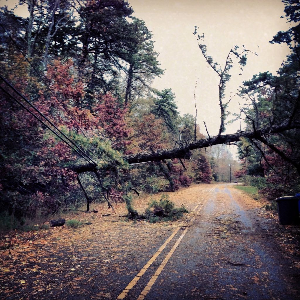 A fallen tree hangs across a two-lane road near low utility lines.