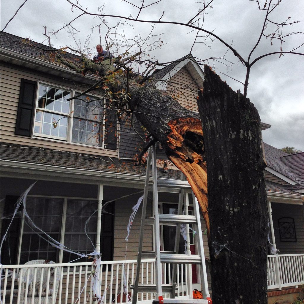 A tree trunk lies against the side of a house, with a ladder and a person near the roof.